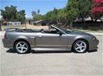 2001 Ford Mustang Picture 5