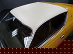 1971 Dodge Charger Picture 5
