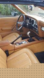 1978 Ford Mustang Picture 5