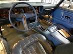 1976 Pontiac Firebird Picture 5