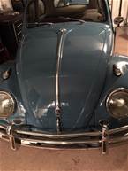 1961 Volkswagen Beetle Picture 5