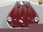 1969 Jaguar E Type Picture 5