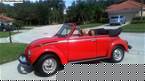 1979 Volkswagen Beetle Picture 5