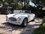 1953 Austin Healey Sebring Picture 5