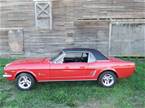 1966 Ford Mustang Picture 5