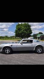 1976 Pontiac Trans Am Picture 5