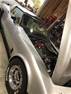 1980 Chevrolet Corvette Picture 5