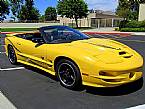 2002 Pontiac Trans Am Picture 5