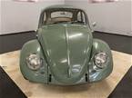 1966 Volkswagen Beetle Picture 5