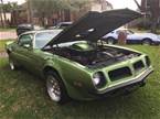 1974 Pontiac Trans Am Picture 5