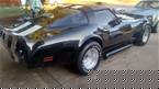 1981 Chevrolet Corvette Picture 5