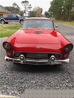 1955 Ford Thunderbird Picture 5