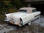 1955 Packard 400 Picture 5