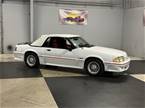 1988  Ford Mustang Picture 5