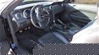 2007 Ford Shelby Picture 5