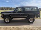 1980 Chevrolet Blazer Picture 5