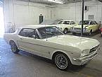 1964 1/2 Ford Mustang Picture 5