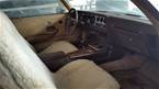 1981 Pontiac Trans Am Picture 5
