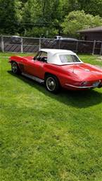 1966 Chevrolet Corvette Picture 5