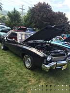 1973 Chevrolet Monte Carlo Picture 5