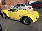 1966 Other Shelby Cobra Picture 5