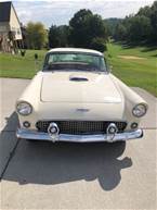 1956 Ford Thunderbird Picture 5