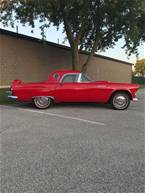 1955 Ford Thunderbird Picture 5