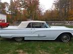 1959 Ford Thunderbird Picture 5