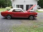 1966 Ford Mustang Picture 5