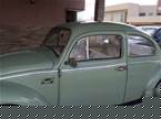 1968 Volkswagen Beetle Picture 5