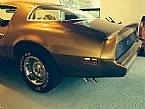 1979 Pontiac Firebird Picture 5