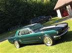 1966 Ford Mustang Picture 5