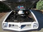 1975 Pontiac Trans Am Picture 5