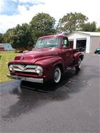 1955 Ford F100 Picture 5