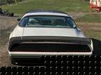 1980 Pontiac Trans Am Picture 5
