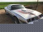 1980 Pontiac Trans Am Picture 5