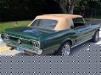 1967 Ford Mustang Picture 5