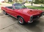 1966 Pontiac LeMans Picture 5