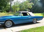 1966 Ford Thunderbird Picture 6