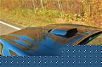 1979 Pontiac Trans Am Picture 6