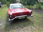 1957 Ford Thunderbird Picture 6