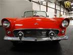 1955 Ford Thunderbird Picture 6