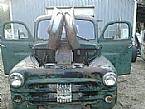 1954 Dodge Pickup Picture 6