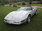 1980 Chevrolet Corvette Picture 6