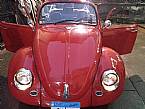 1950 Volkswagen Beetle Picture 6