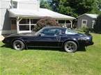 1979 Pontiac Firebird Picture 6