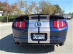2010 Ford Shelby Picture 6