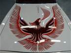 1981 Pontiac Firebird Picture 6