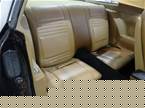 1979 Pontiac Firebird Picture 6