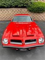 1974 Pontiac Firebird Picture 6